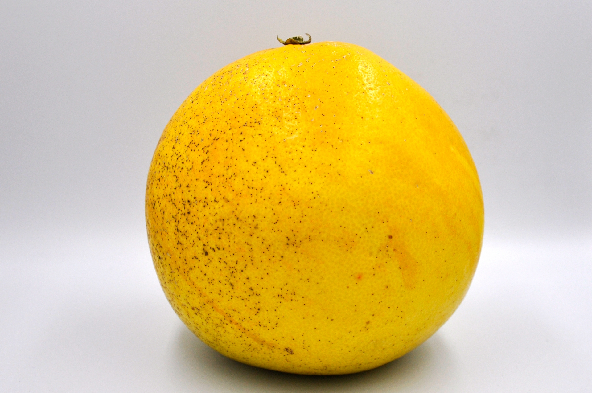 晩白柚（banpeiyu Pomelo）の魅力と歴史｜世界最大級の柑橘が辿った旅路と日本での輝き パワーフルーツ 