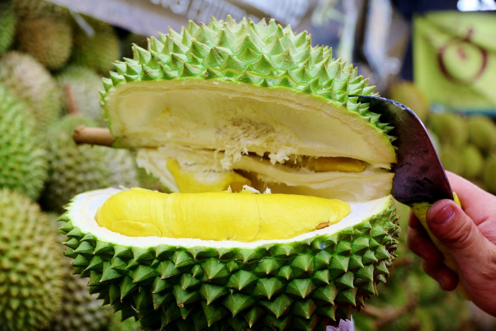 ドリアン（榴蓮 / Durian）の歴史と文化｜「果物の王様」が辿った旅路