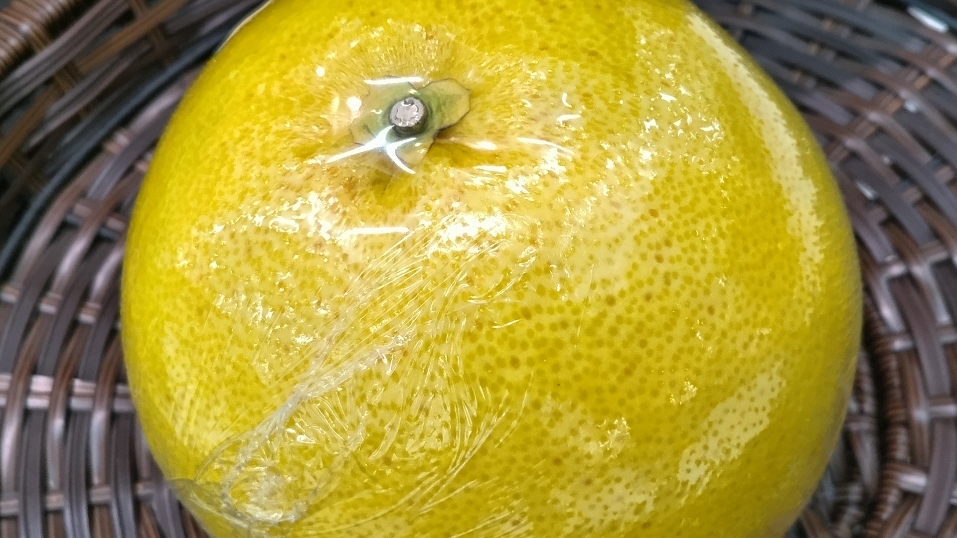 晩白柚（banpeiyu Pomelo）の魅力と歴史｜世界最大級の柑橘が辿った旅路と日本での輝き パワーフルーツ 